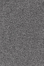 AW Stainguard Harvest 90 фото 1 | FLOORDEALER